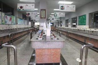 文化經紀促活力，文明創建譜新篇——大東坑的文化服務實踐