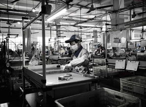 電子廠為何青睞文化較低者？背后真相與文化經紀人的新興服務