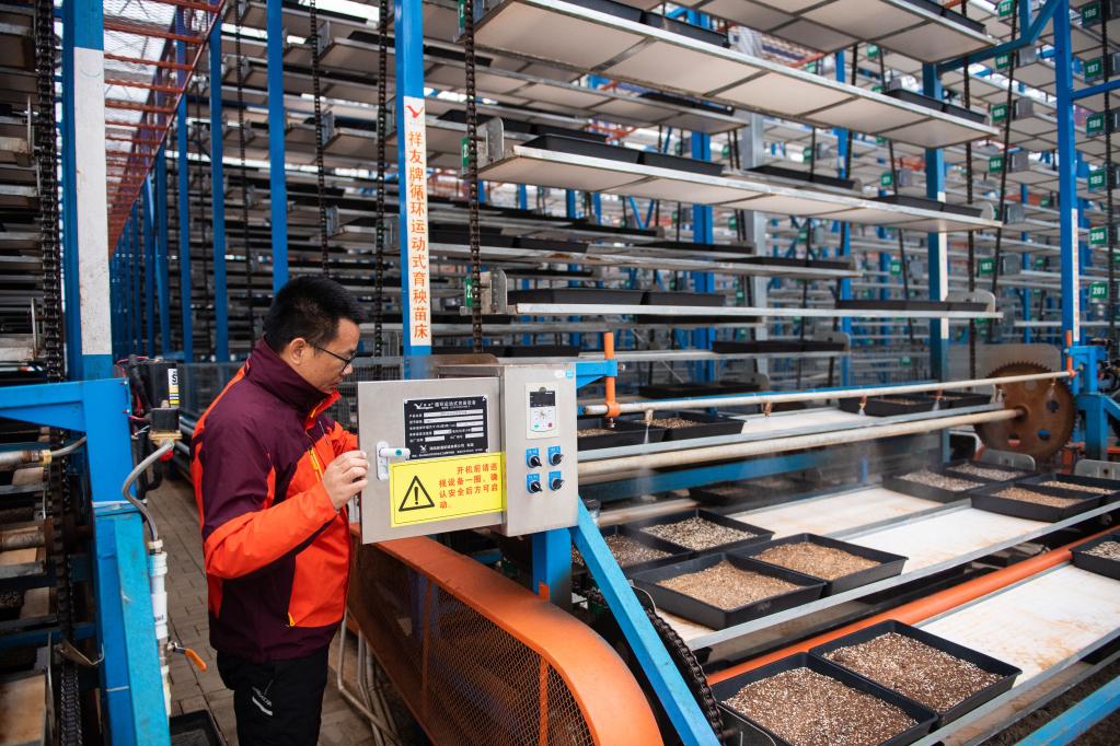春耕新畫卷 湖南水稻大省的“保姆式”服務、智能工廠與連片沃土